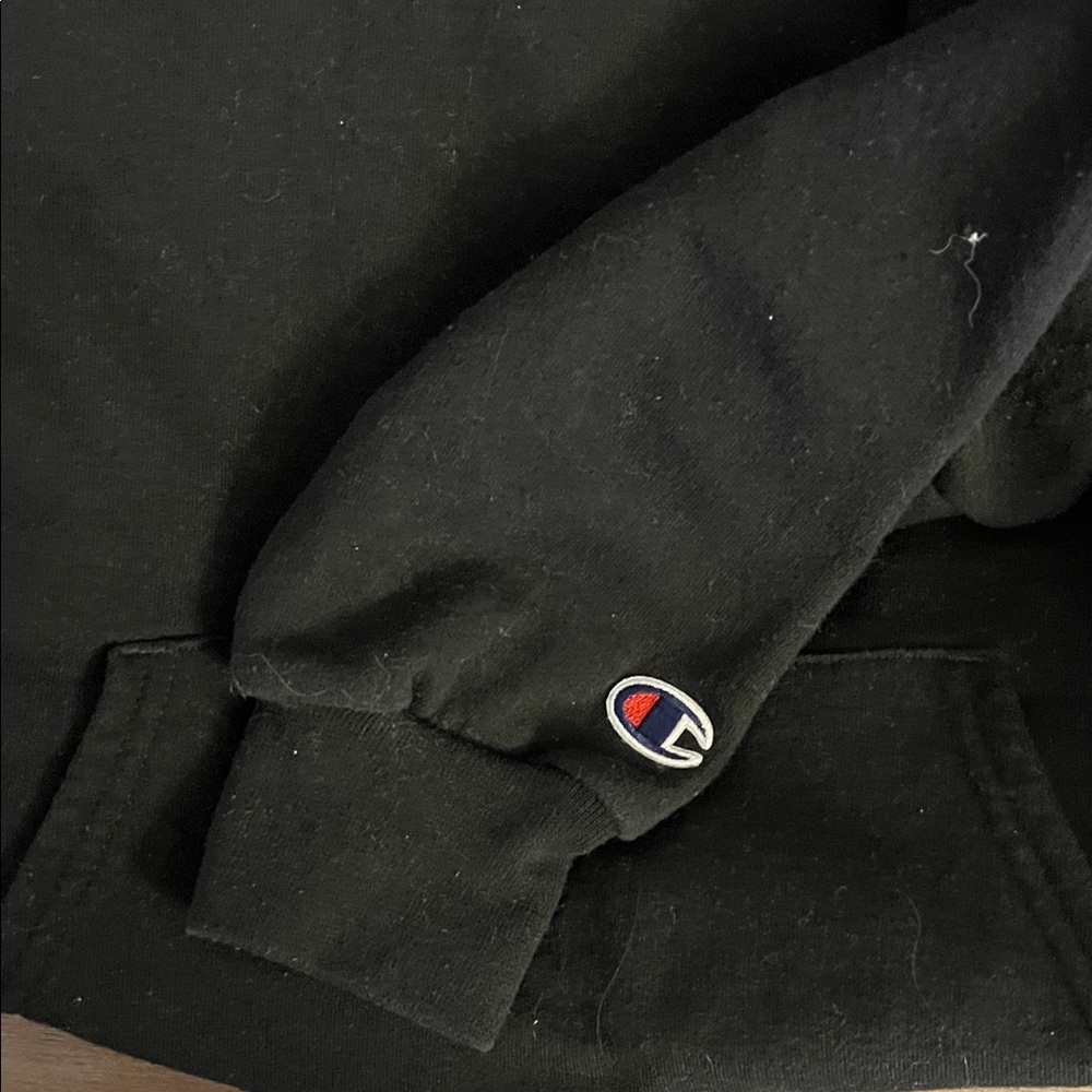 Harry Styles Champion Black Hoodie - Picture 4 of 4